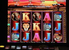 333体育官网下载客户端