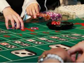 333体育官网下载免费版